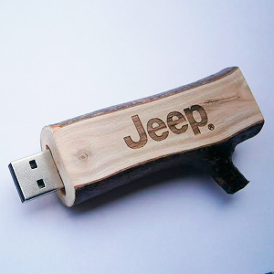 Дизайнерская USB флешка деревянная "Wild"