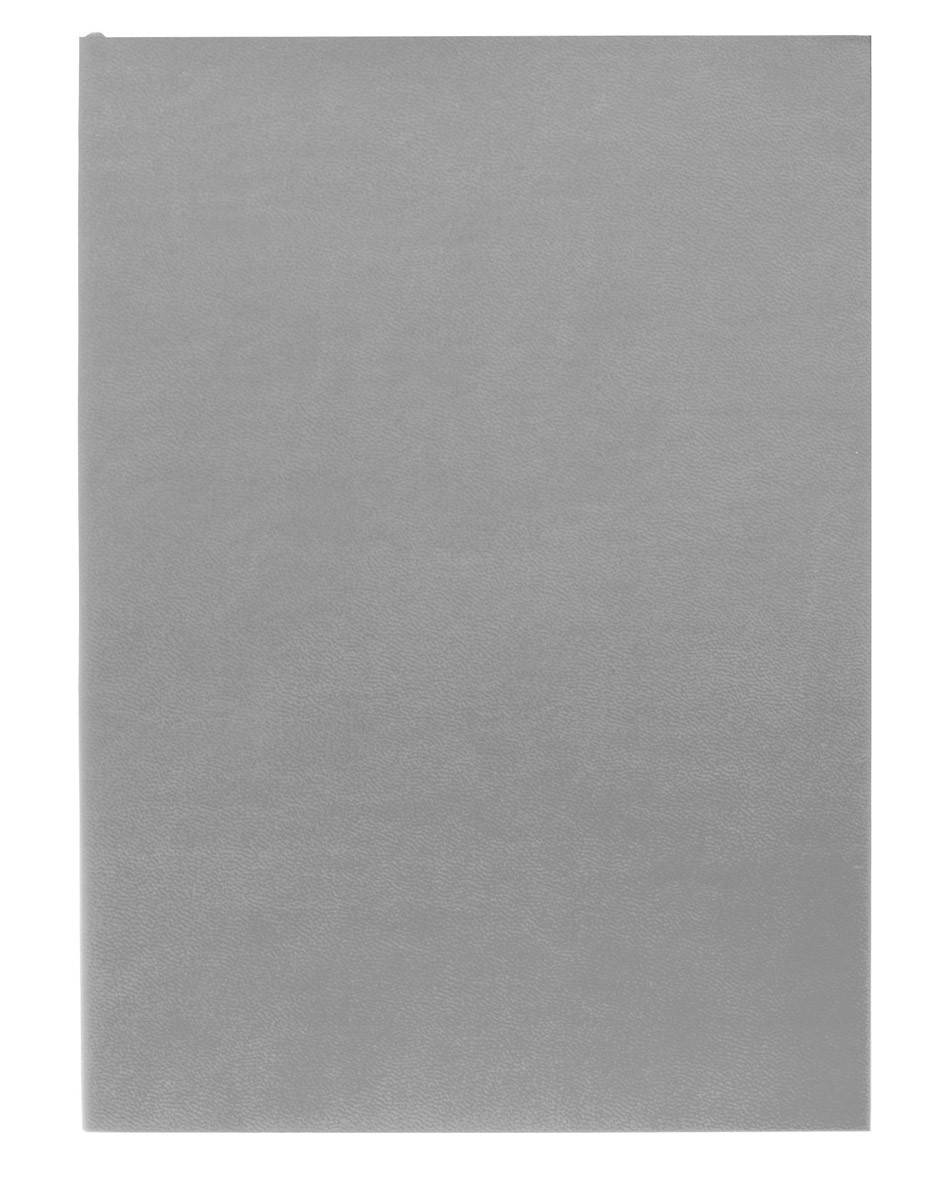 Ежедневник Flat Light, недатированный, серый