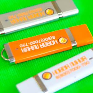 USB флешка "Промо Стандарт AP-206"