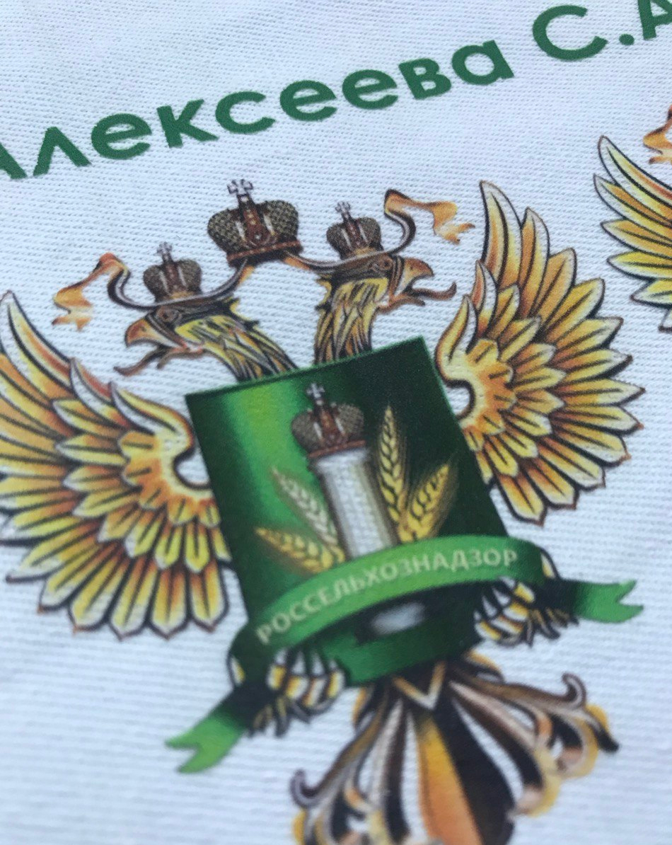 Печать символики, гербов (пропечатка мелких деталей с помощью DTF) 