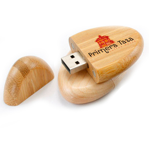 USB флешка деревянная "Эллипс" (красный, коричневый)