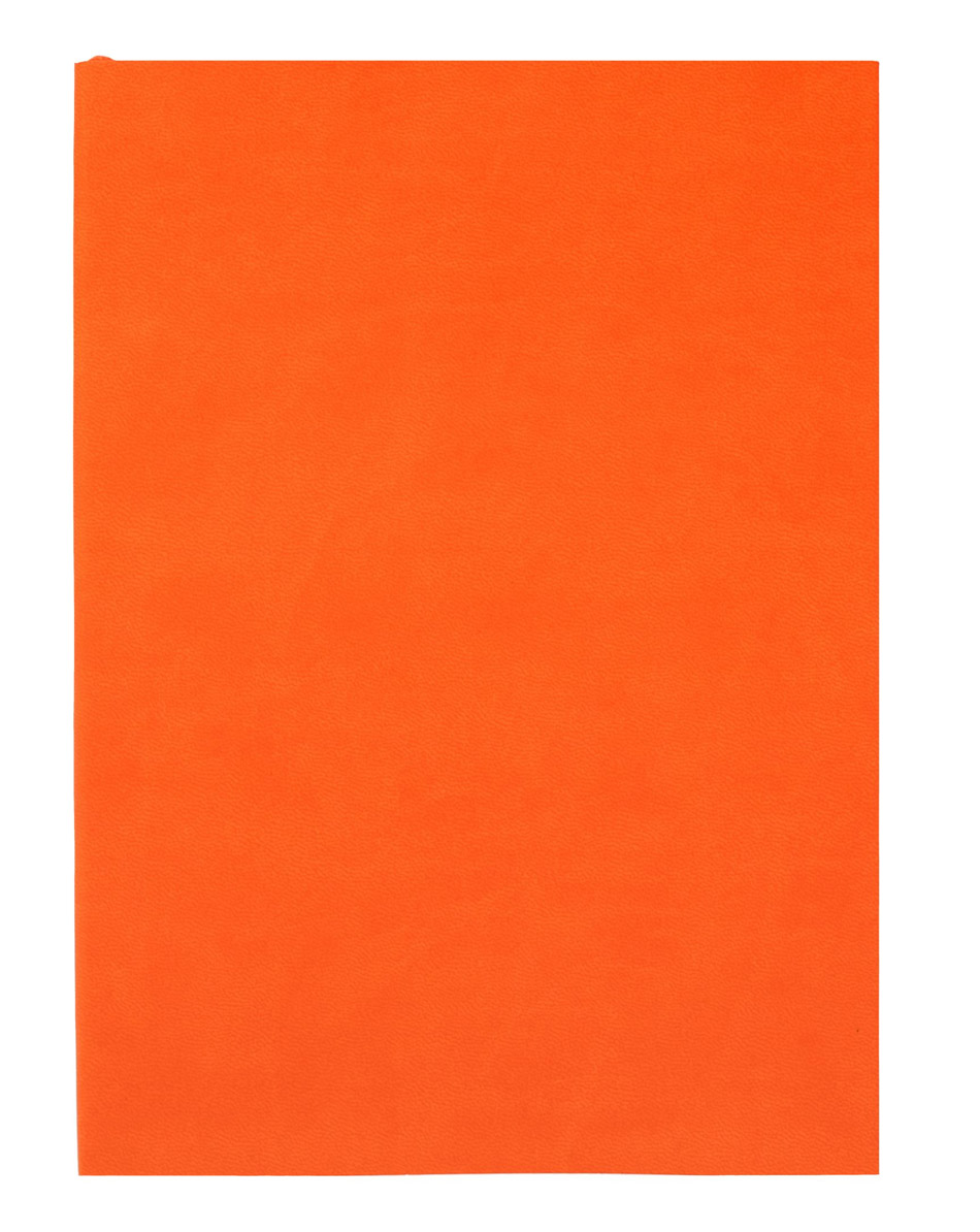Ежедневник Flat Light, недатированный, оранжевый