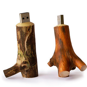 Дизайнерская USB флешка деревянная "Wild"