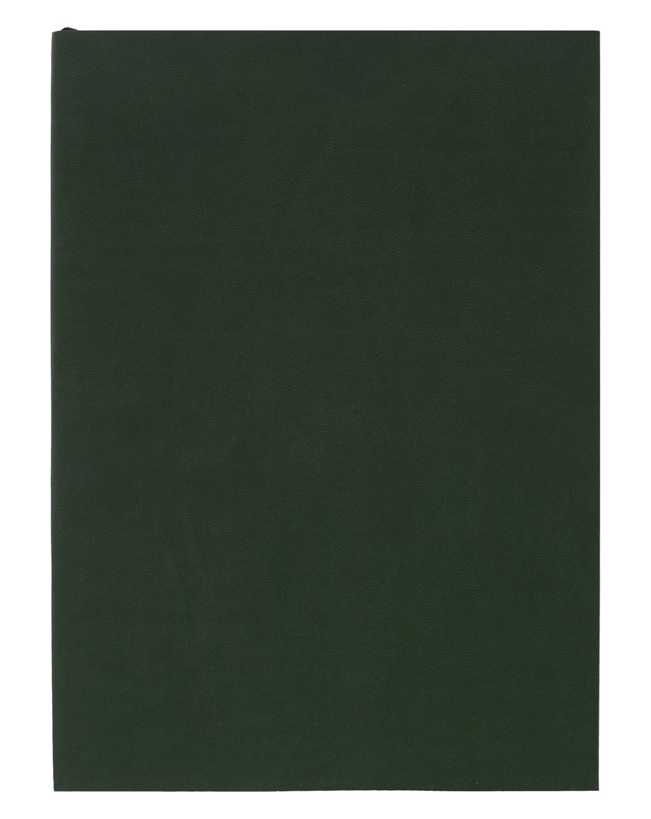 Ежедневник Flat Light, недатированный, зеленый