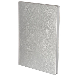 Записная книжка Ingot, серебристая
